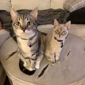 Meet your Posher, Macy